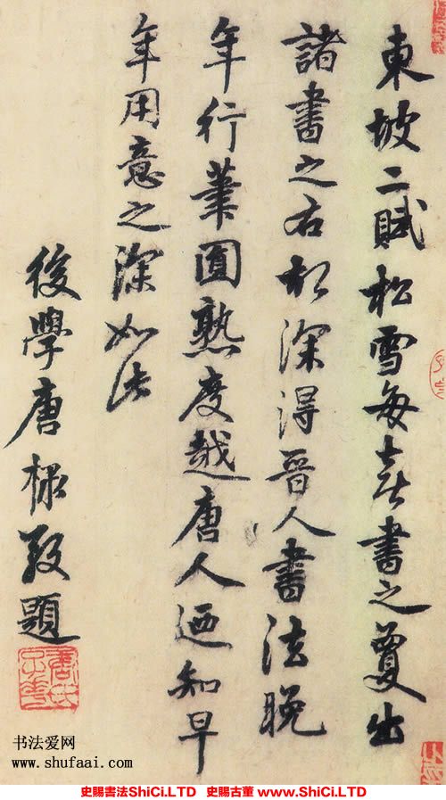 ﻿唐棣《跋趙孟頫書《赤壁賦》》書法字帖真跡