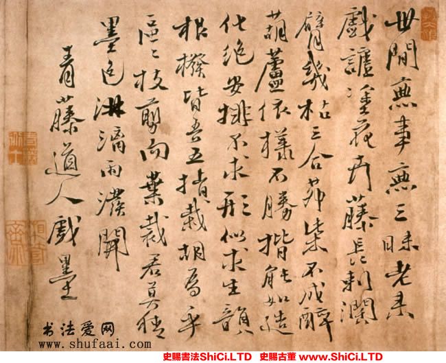 ﻿徐渭《花卉圖卷題詩》書法字帖真跡