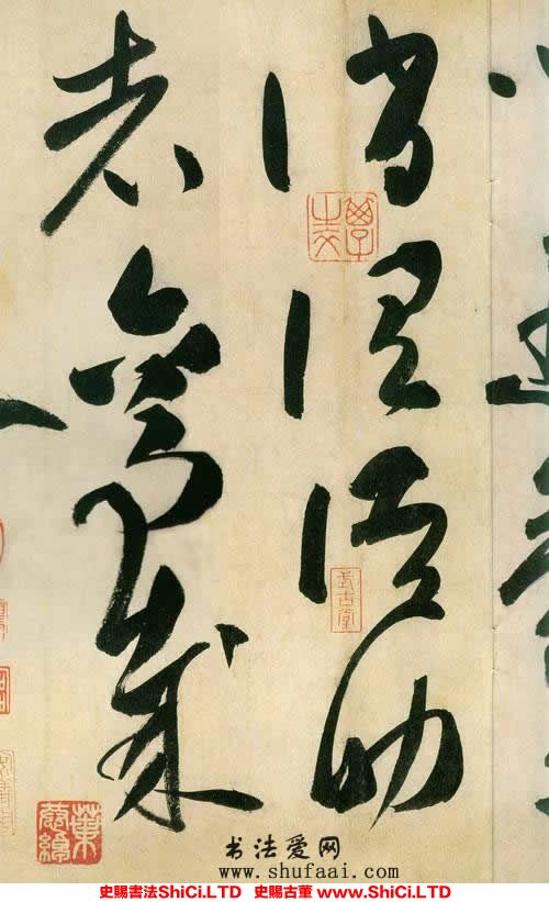 ﻿薛曜《草書千字文》書法字帖圖片（共19張圖片）