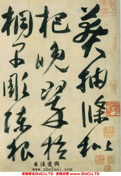 ﻿薛曜《草書千字文》書法字帖圖片（共19張圖片）