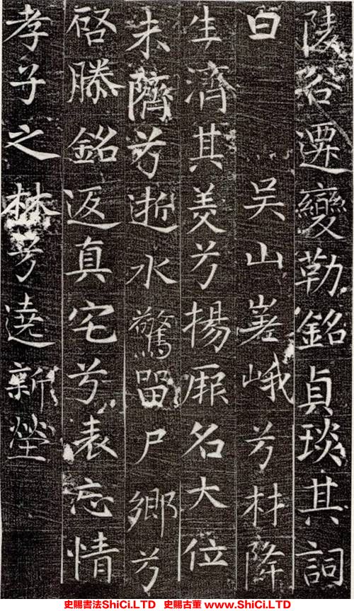 ﻿張旭《嚴仁墓誌》書法字帖欣賞（共7張圖片）