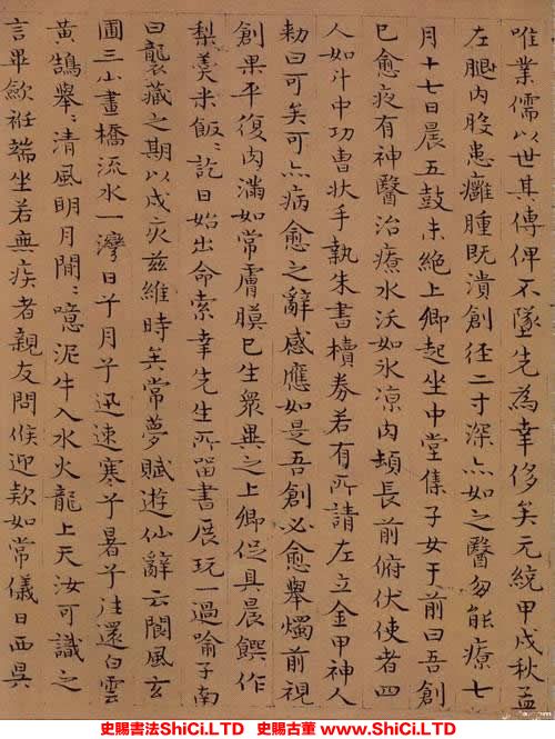 ﻿張適《周上卿傳》書法鑒賞（共7張圖片）