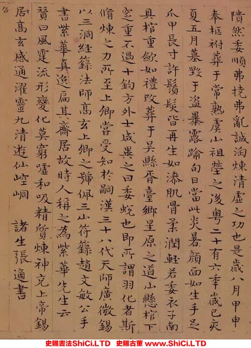 ﻿張適《周上卿傳》書法鑒賞（共7張圖片）