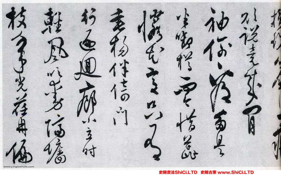 ﻿鄭天鵬《草書和張南湖詩卷》書法字帖真跡（共20張圖片）