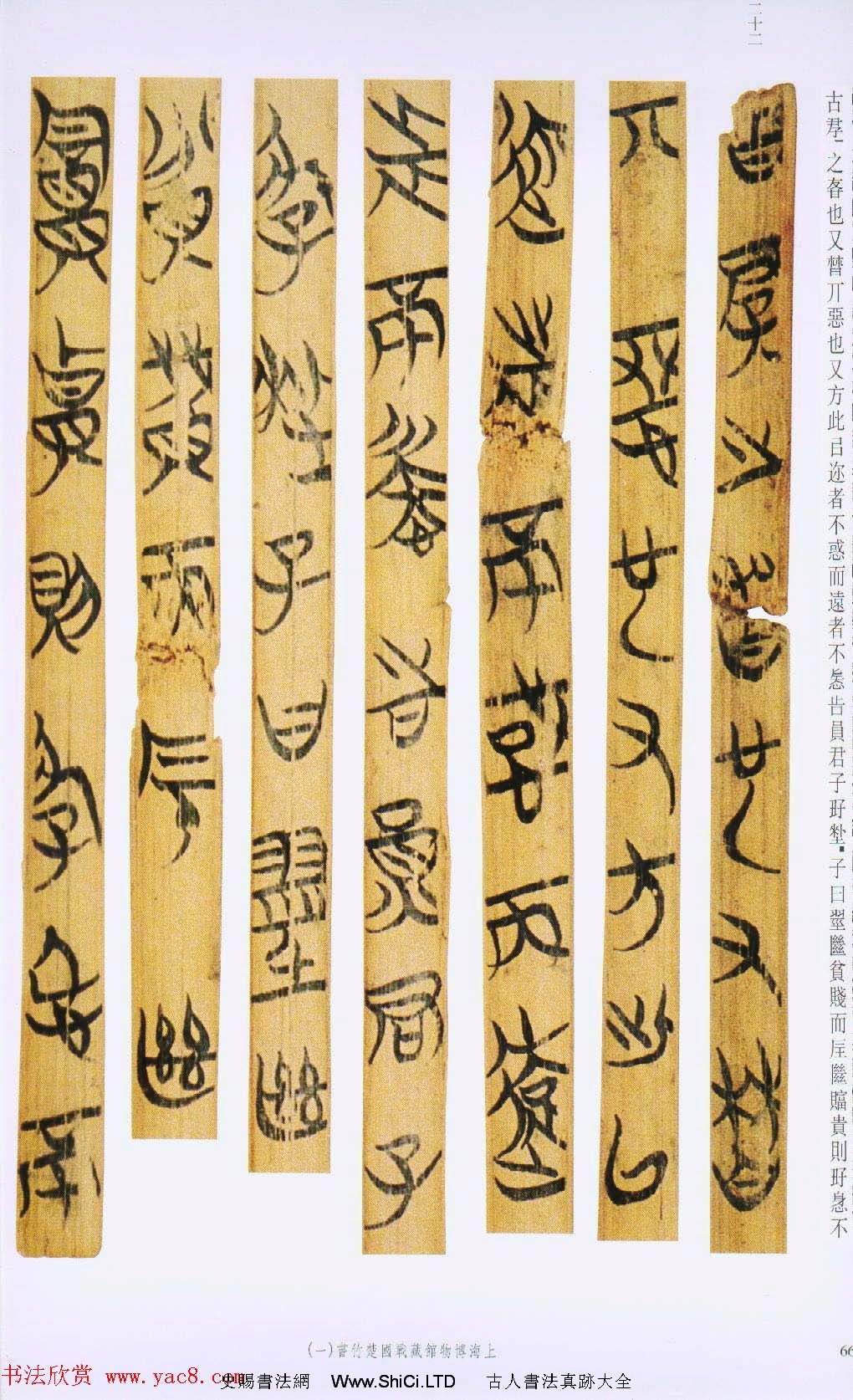 戰國楚竹簡書法欣賞《緇衣篇》