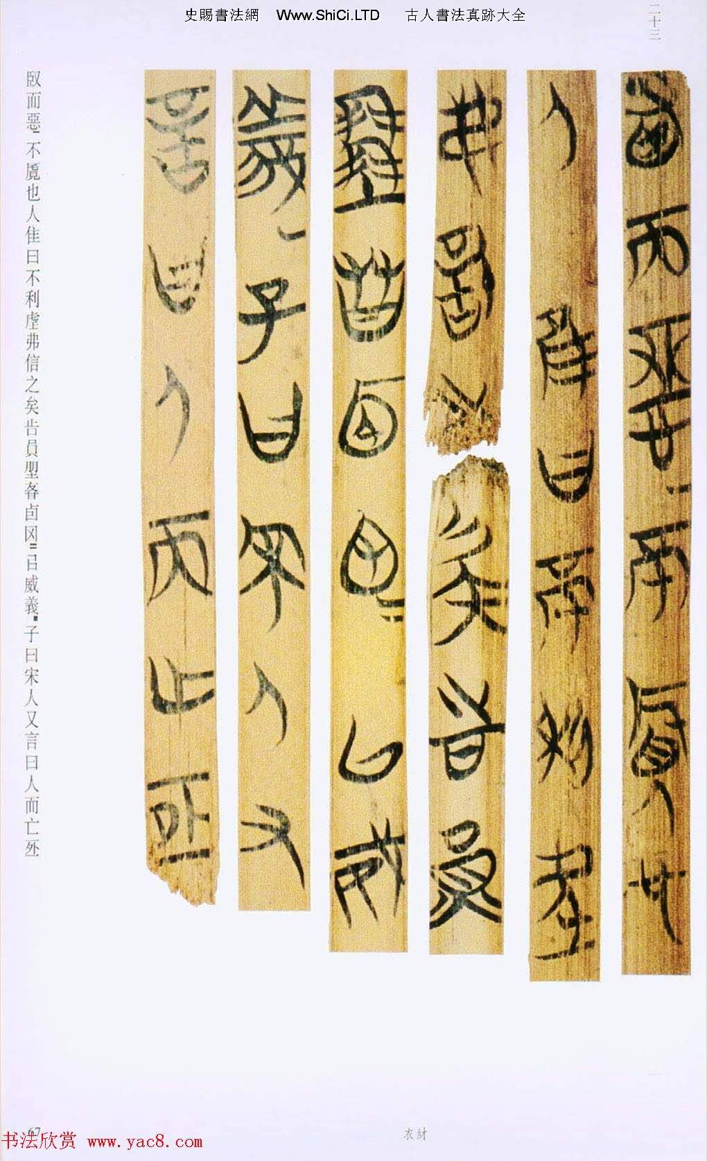 戰國楚竹簡書法欣賞《緇衣篇》