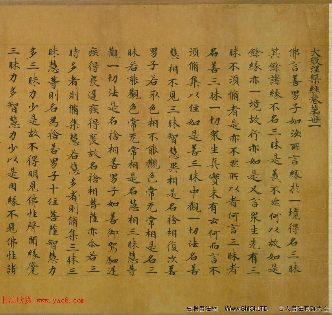 佛教經典手卷真跡欣賞《唐人寫本大般涅盤經卷第三十一》（共24張圖片）