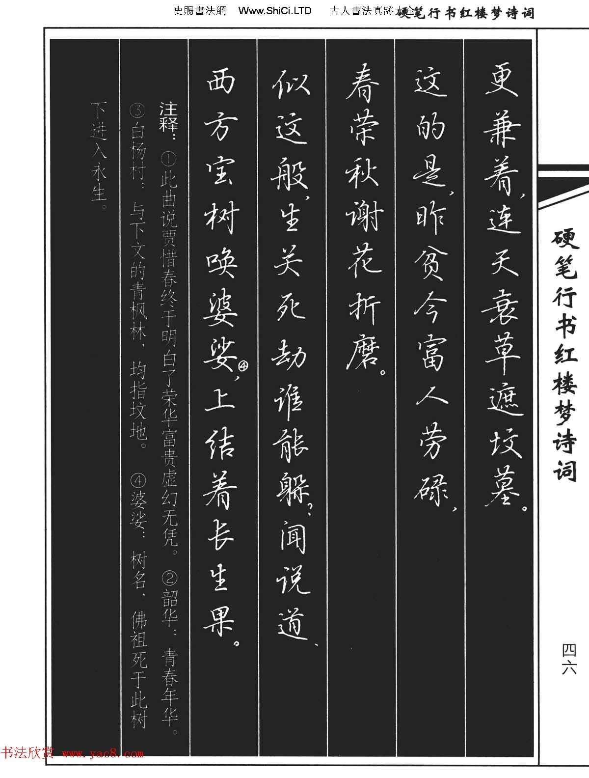 吳玉生鋼筆字帖欣賞《硬筆行書紅樓夢詩詞》
