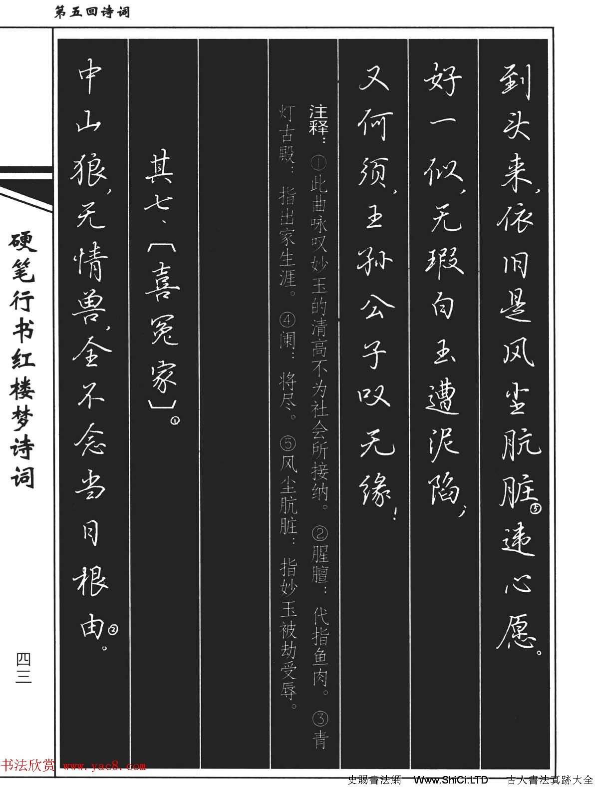 吳玉生鋼筆字帖欣賞《硬筆行書紅樓夢詩詞》