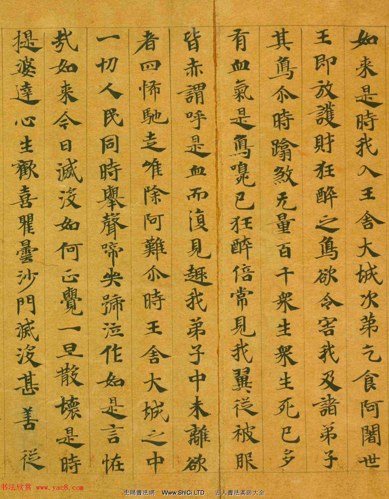 隋代楷書寫經墨跡《大般涅槃經卷第十五》