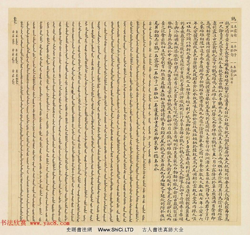 漢文滿文字畫欣賞《清人鳥譜冊》