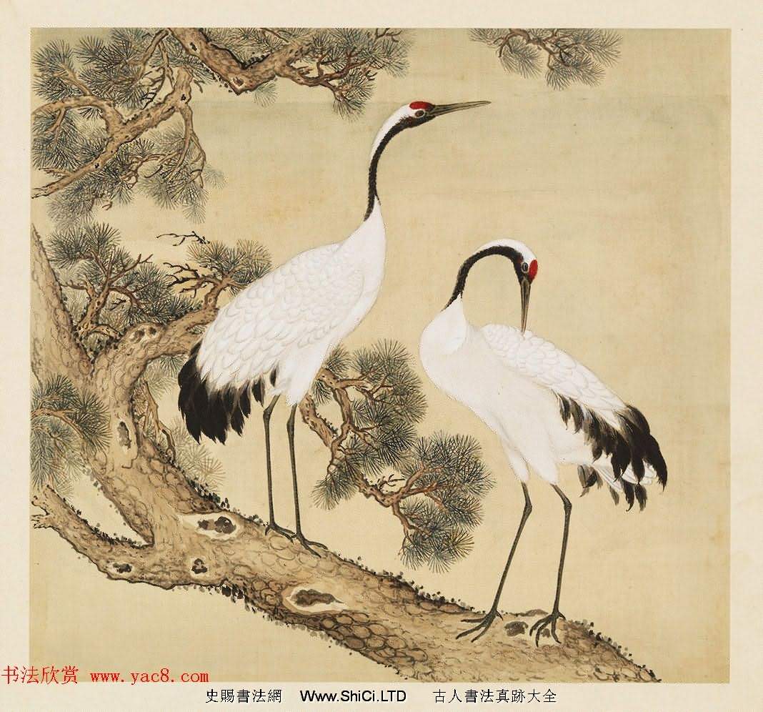 漢文滿文字畫欣賞《清人鳥譜冊》