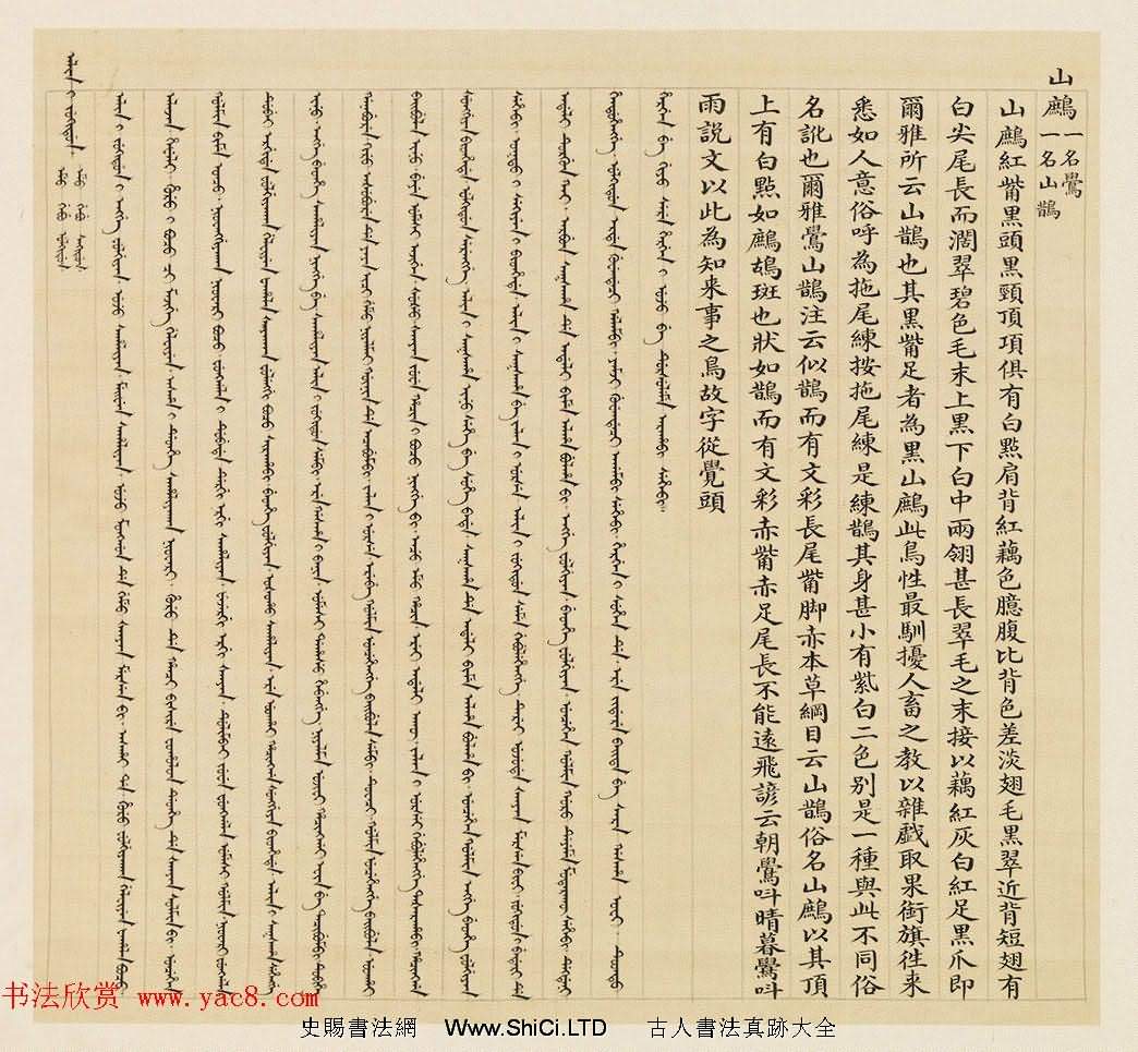 漢文滿文字畫欣賞《清人鳥譜冊》