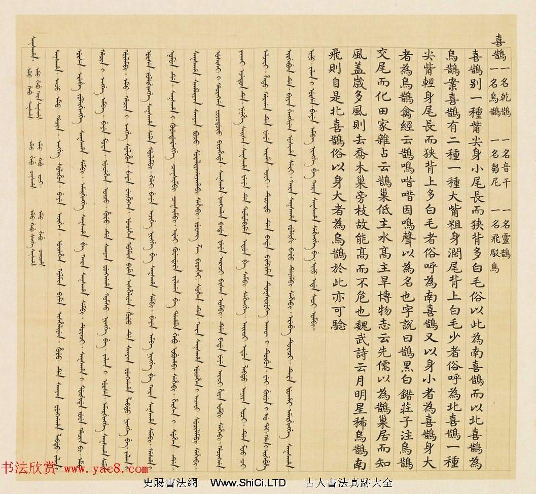 漢文滿文字畫欣賞《清人鳥譜冊》