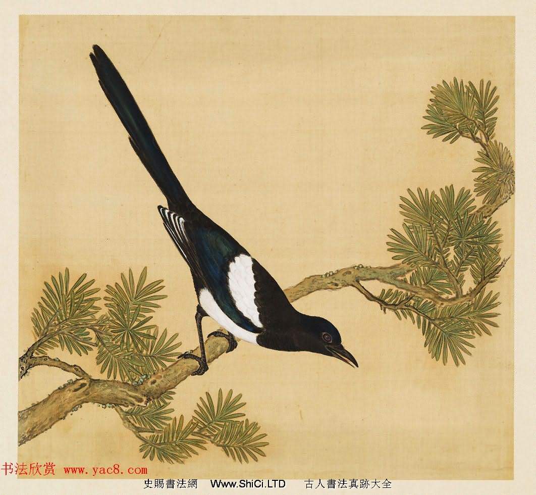 漢文滿文字畫欣賞《清人鳥譜冊》