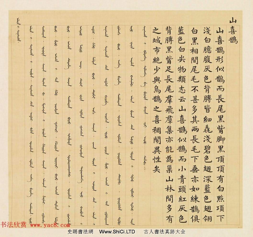 漢文滿文字畫欣賞《清人鳥譜冊》