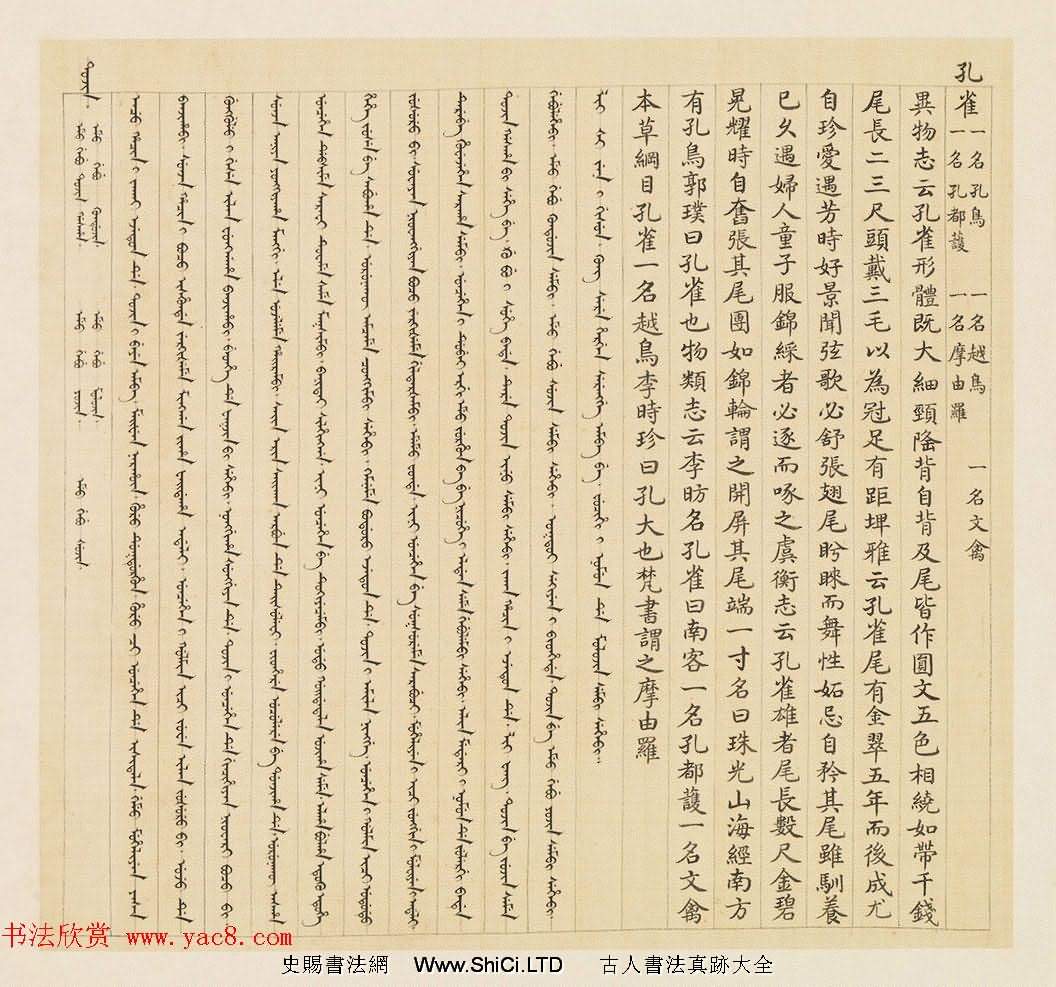 漢文滿文字畫欣賞《清人鳥譜冊》