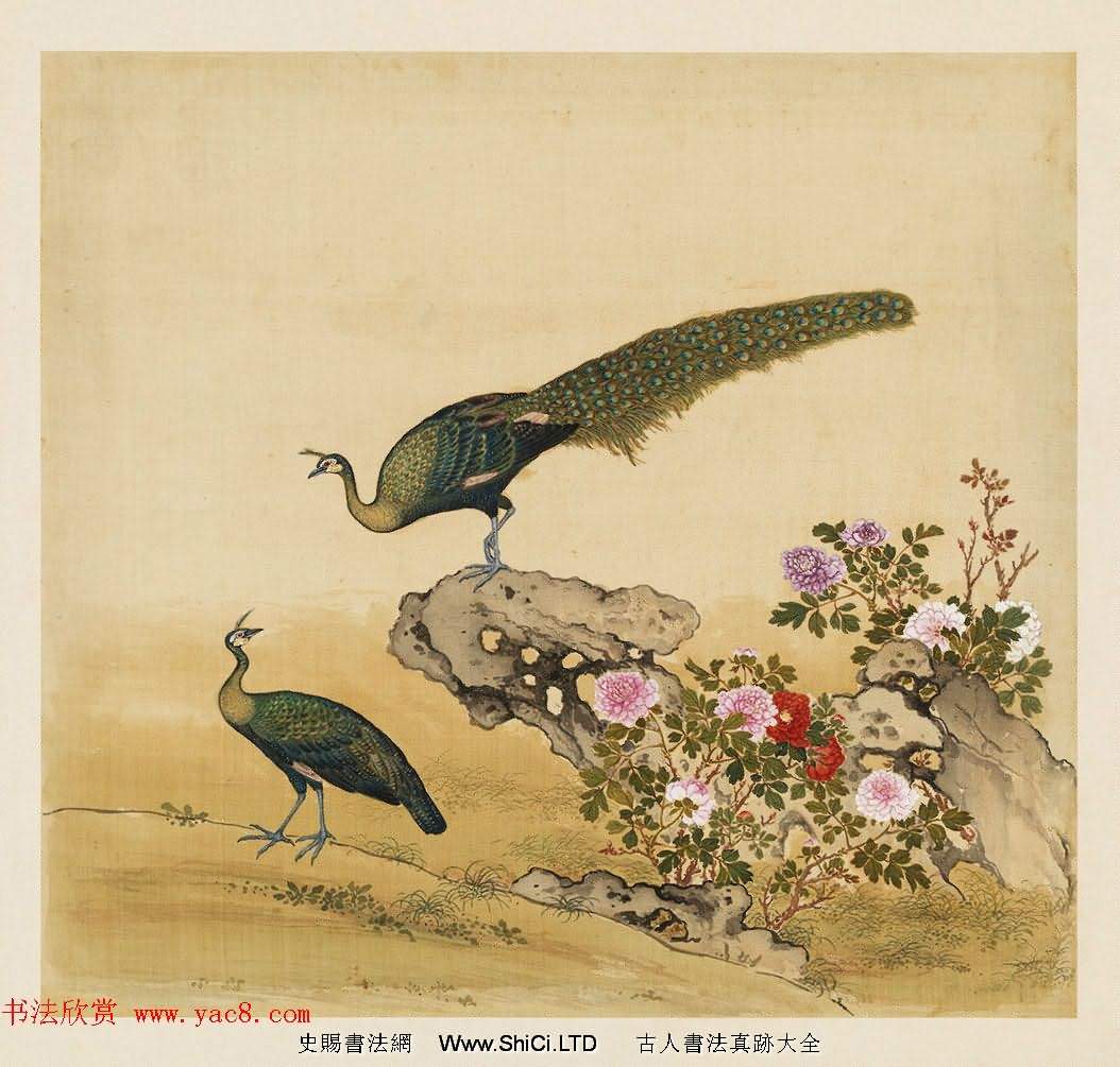 漢文滿文字畫欣賞《清人鳥譜冊》