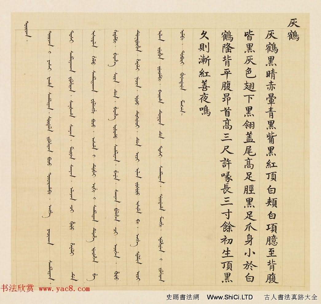 漢文滿文字畫真跡欣賞《清人鳥譜冊》（共26張圖片）