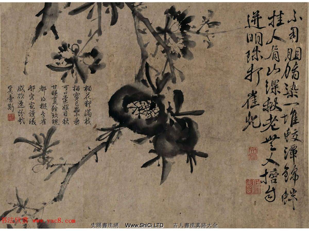 徐渭傳世書畫《水墨寫生》卷（共9張圖片）