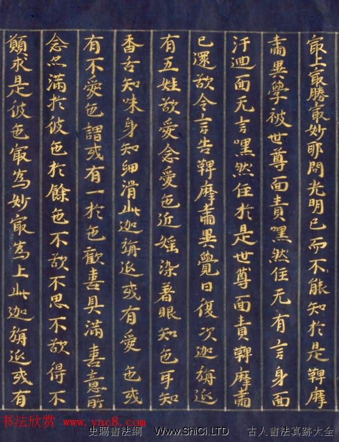日本手抄金色字佛經《鞞摩肅經》（共14張圖片）
