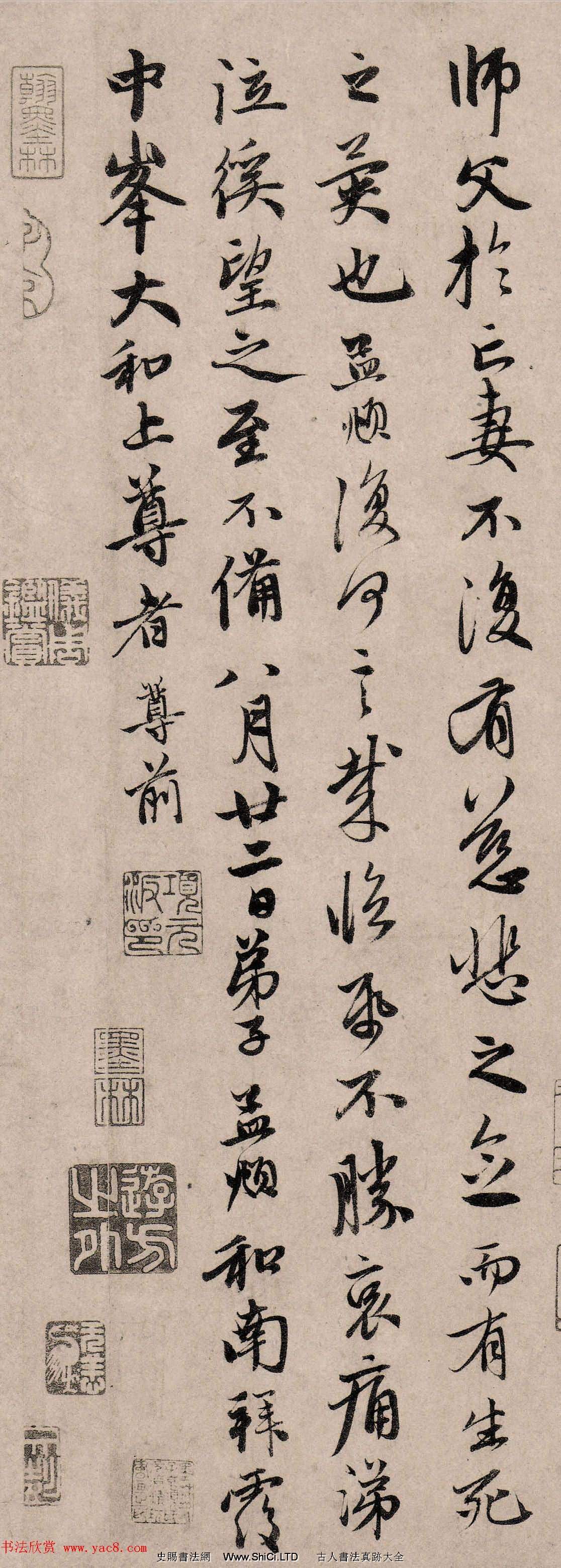 趙孟頫66歲行書《丹藥帖》（共6張圖片）