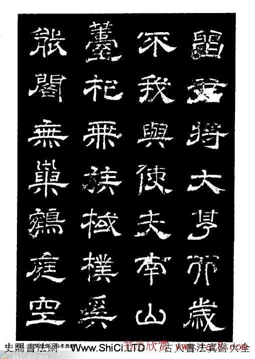 陸尚賓隸書欣賞《楊孝恭碑》