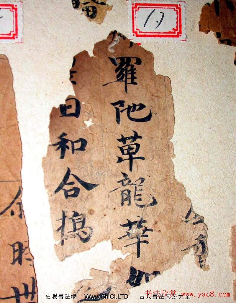 世界上最早紀年漢文佛經殘卷